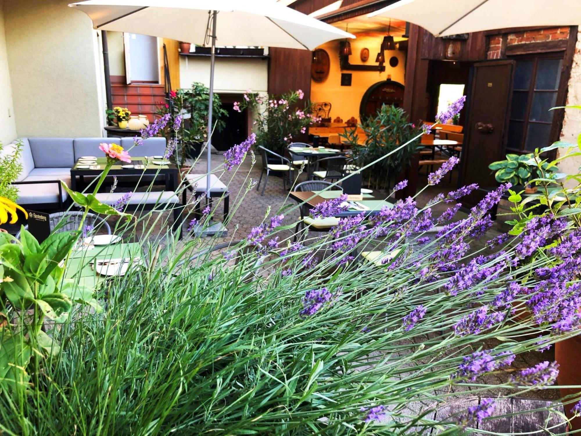 'in Vino Veritas' Guest house *