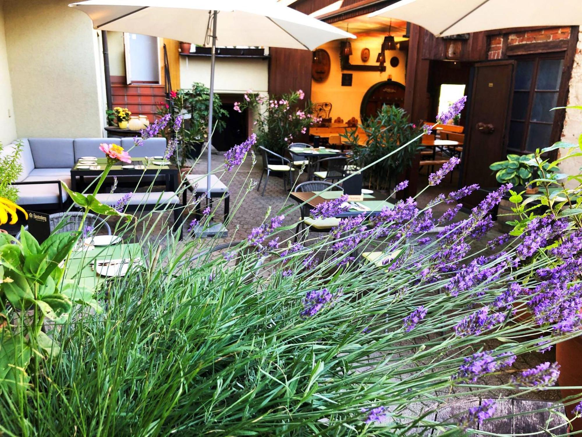 'in Vino Veritas' Guest house *